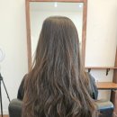 살롱더퍼스트 이미지