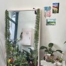 주드리꽃방