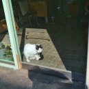 마리정신과의원 이미지