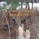 (9월) 청둥오리의 기쁠 때와 슬플 때 이미지