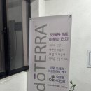 더마젤 에스테틱