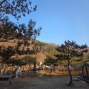 초리 포레스트 | 파주 법원읍:) 산 중턱의 고즈넉한 캠핑 글램핑장_-_초리포레스트