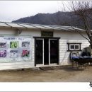 태극농장 이미지