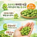 소라마메 | 일본 프리미엄 콩과자 마메야 소라마메 솔직 후기