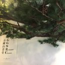 금강산식당 이미지