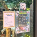 11650-16-176-4 | 송도 이색 데이트 추천 테이블에이 &amp; 앤 우쥬 내돈내산 방문 후기