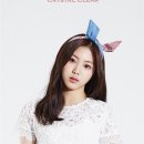 101 이미지