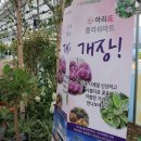 광장마트 이미지