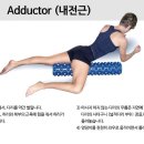 킹 휘트니스 이미지