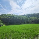 풍전농장 이미지