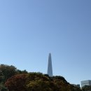 서울 가을명소 올림픽공원 단풍길 산책 후기