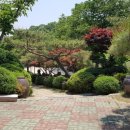 대지부속 이미지