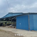 보성축사 이미지