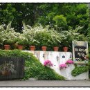 타샤의정원 - 화성시 노작로4길 33-9 | 타샤의정원
