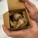 유가네뼈해장국 | 26년 1분기 샷따내려요