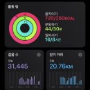 키다실 | 나고야 3일차 여행후기｜비 오는 날 나고야성부터 하나오카 히츠마부시까지
