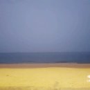 바다와 구이 이미지