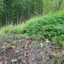 웅동부동산공인중개사사무소 이미지