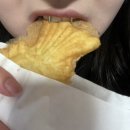 모텔씨 | 10월 모음집🔅