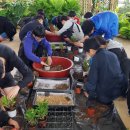 진안여중 이미지