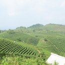 산상다원