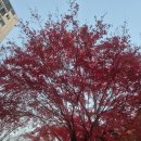 행복한 자수 이야기 | 2025년11월 연희동에서 &#39;옵젵상가&#39;, &#39;센티멘트&#39;_뜨개전사 모임(2/2)