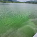 큰길 행정사사무소 이미지