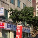 분식이야 | 홍대맛집 조폭떡볶이 본점 분식 세트 먹방 솔직후기