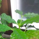 우풍농장 이미지