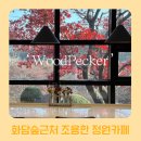 카페 우드페커 | 화담숲 근처 조용한 정원 카페 단풍 뷰 맛집