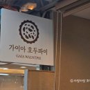 가이아 호두파이 이미지