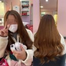 프린세스붙임머리 네이버블로그
