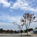 양달캠핑장 | 용인 캠핑장 / 용인 양달농원캠핑장 S사이트 후기