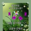 목보건지소 Daum카페