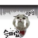 최동물병원 이미지