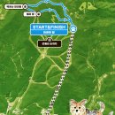 댕댕스토리 | 댕댕트레킹2025 가다.!(사진多주의)