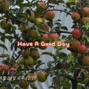 Have A Good Day~~♥ 이미지