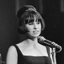 보사노바 이미지