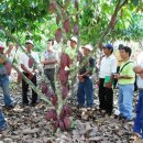 황금알 농장 이미지