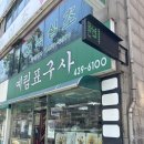 정원표구사