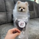 간식주까 | [부천 강아지 케이크 /부천 강아지 레터링 케이크 / 부천 애견 수제간식] 간식주까 Ye's
