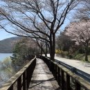 덕산도립공원 수덕사 주차장 이미지