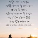 26년 6월 이야기, 17일은 백합 꽃이 활짝 펴 짙은 솔향기와 어울린 척산온천 솔바람길 걷고 보니 한결...