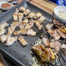 동그리생생