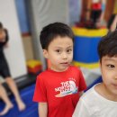 용인대새봄태권도 이미지