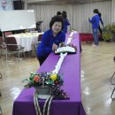 참새미 이미지