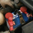 TNT모터스 이미지