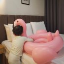 브라운도트 창원북면점 이미지