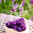 작은행복 이미지