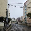 매촌 | 제주 삼양 맛집 흑돼지 돈까스 밀라네사 뷔페 아이랑 식사 후기 (주차, 전체 메뉴)